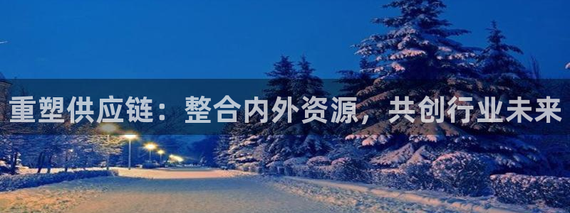狗子28是正规软件吗：重塑供应链：整