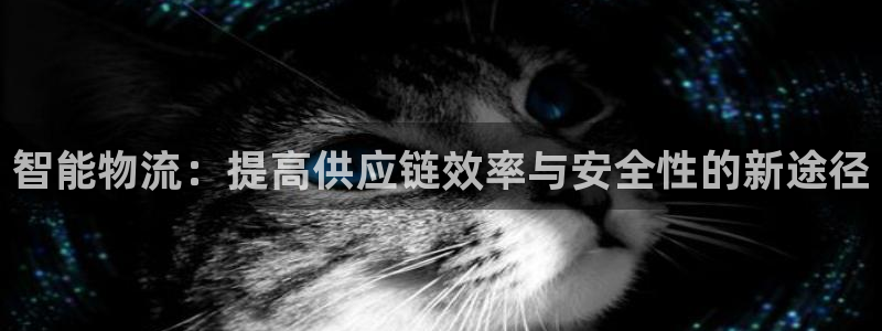 狗子28是什么是赌博吗?：智能物流：