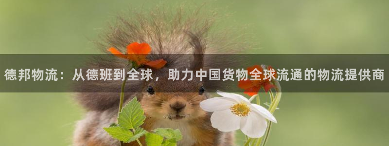 狗子28注册链接：德邦物流：从德班到