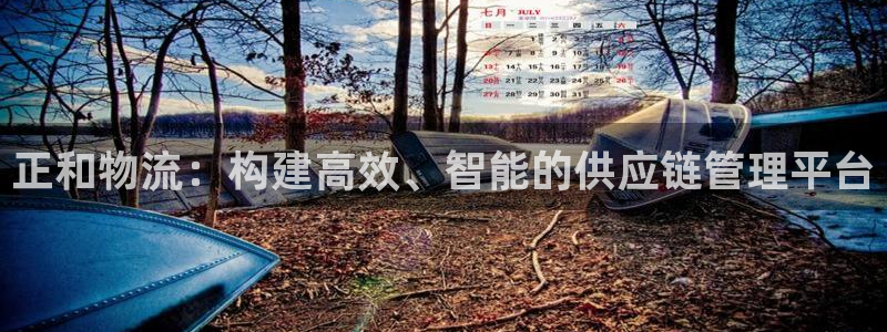 狗子28怎么下载不了：正和物流：构建