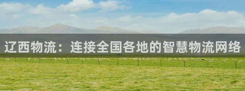 狗子28违法吗：辽西物流：连接全国各