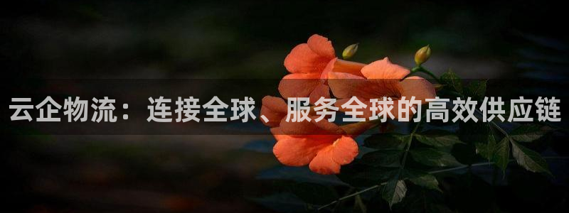 狗子28官网链接：云企物流：连接全球