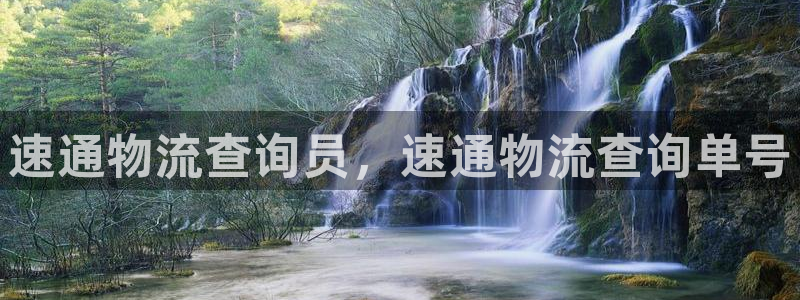狗子28头像：速通物流查询员，速通物流查询单号