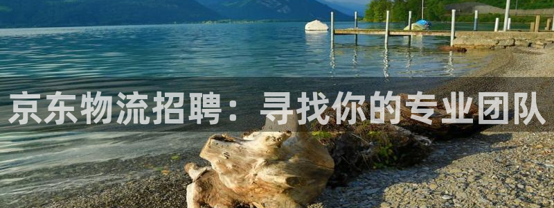 狗子28官网版下载：京东物流招聘：寻