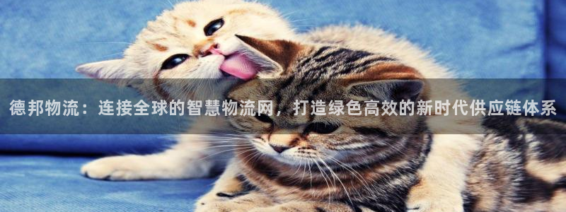 狗子28注册链接入口：德邦物流：连接