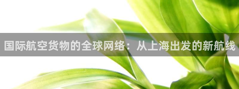 狗子28麻将胡了在线试玩：国际航空货