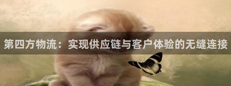 狗子28官方：第四方物流：实现供应链