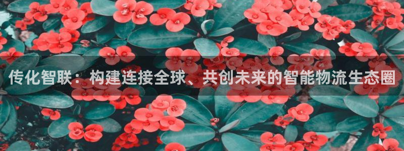 狗子28稳吗：传化智联：构建连接全球