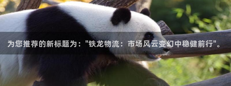 狗子28注册用户名是什么：为您推荐的