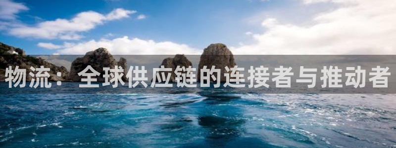 狗子28链接来一个：物流：全球供应链