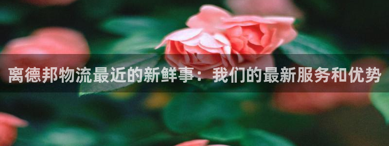 狗子28官网下载谁有：离德邦物流最近