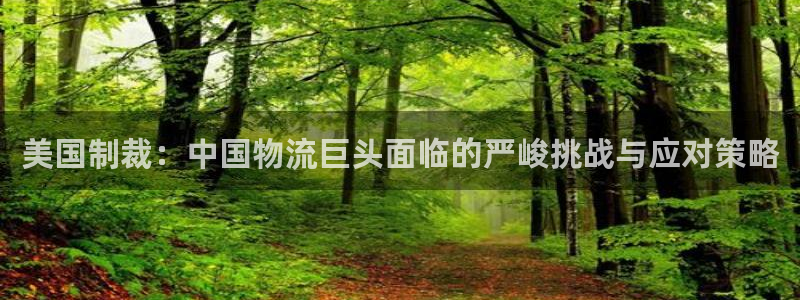 麻将1狗子28：美国制裁：中国物流巨