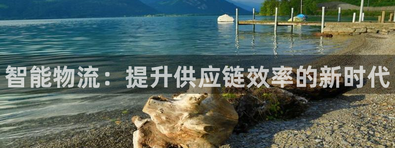 狗子28app怎么注册账号：智能物流：提升供应链效率的新时代