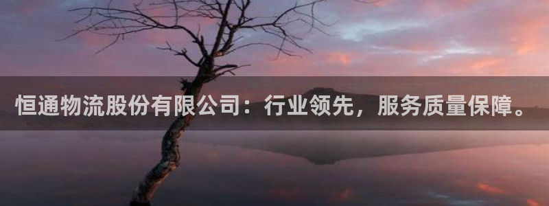 狗子28p扣款什么意思：恒通物流股份有限公司：行业领先，服务