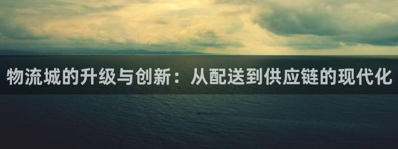 狗子28游戏官网入口：物流城的升级与