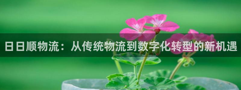 狗子28充值为什么充不了：日日顺物流