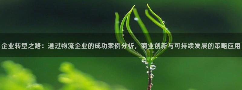 狗子28下载二维码怎么弄：企业转型之
