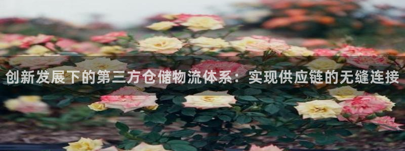 狗子28登录用户名登录不上：创新发展