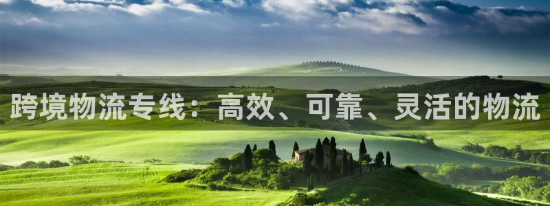 狗子28：跨境物流专线：高效、可靠、