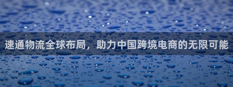 狗子28官方版正版：速通物流全球布局