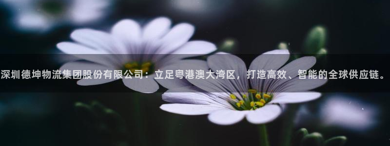 狗子28怎么注册账号：深圳德坤物流集团股份有限公司：立足粤港