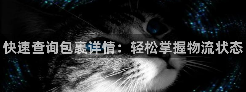 狗子28初始资金密码在哪里改：快速查