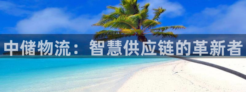 狗子28怎么注册游戏名字：中储物流：