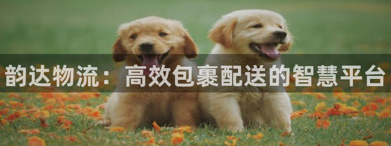 狗子28ccm官网版：韵达物流：高效