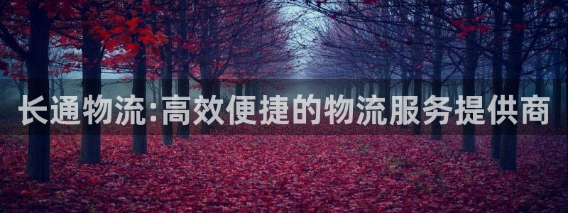 狗子28官网下载链接是什么：长通物流