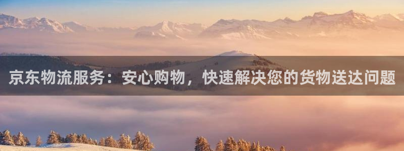 狗子28官网入口南宫：京东物流服务：安心购物，快速解决您的货