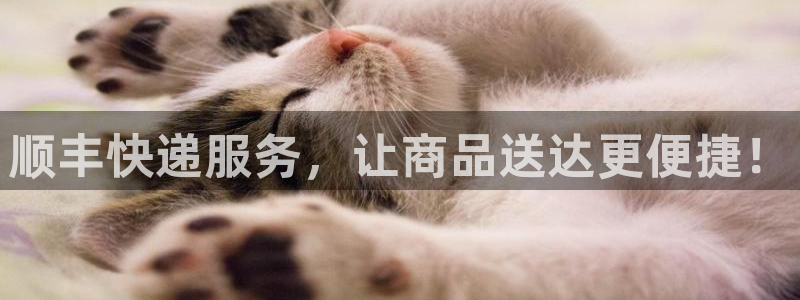 狗子28下载二维码：顺丰快递服务，让商品送达更便捷！