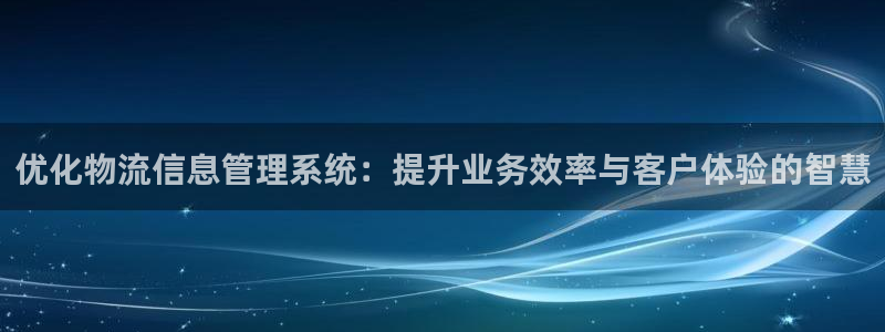 狗子28分分压单双技巧：优化物流信息管理系统：提升业务效率与