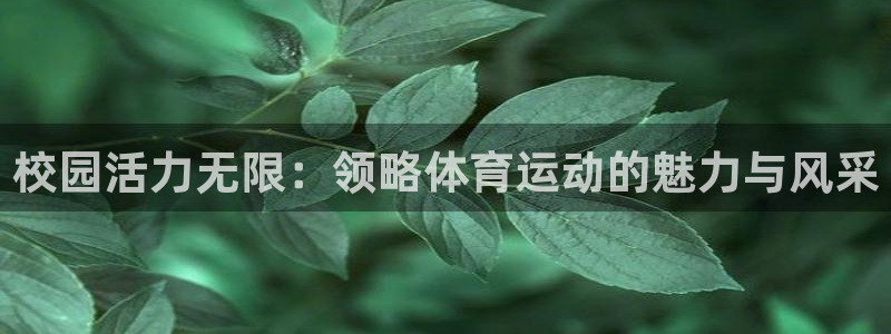 风速体育官网
