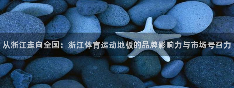 风速体育直播app