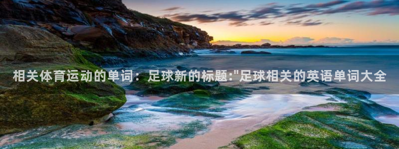 风速体育app下载安装最新版本：相关体育运动的单词：足球新的标题:\
