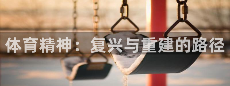风速体育app：体育精神：复兴与重建的路径