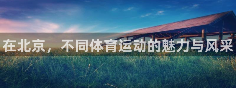 风速体育直播：在北京，不同体育运动的魅力与风采