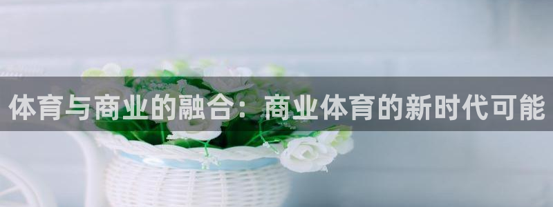 风速体育官网：体育与商业的融合：商业体育的新时代可能