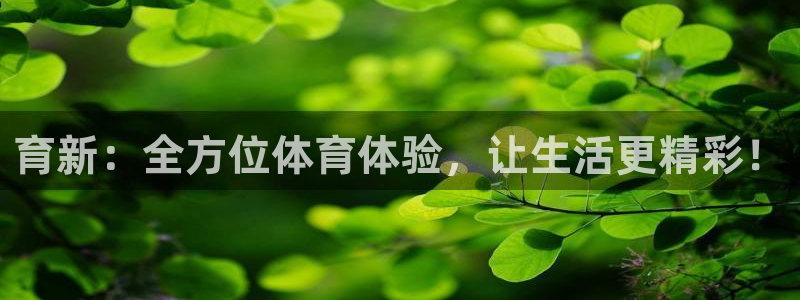 风速体育：育新：全方位体育体验，让生活更精彩！