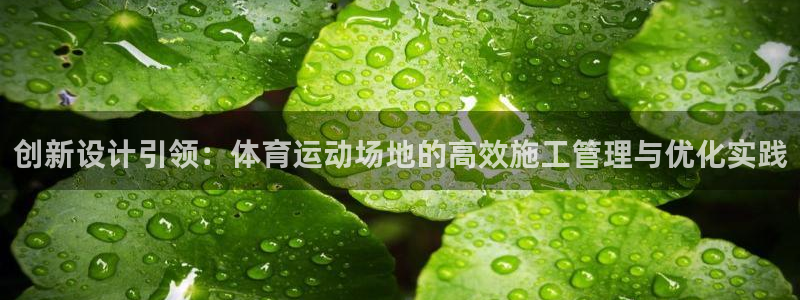 风速体育app官方下载：创新设计引领：体育运动场地的高效施工管理与优化实践