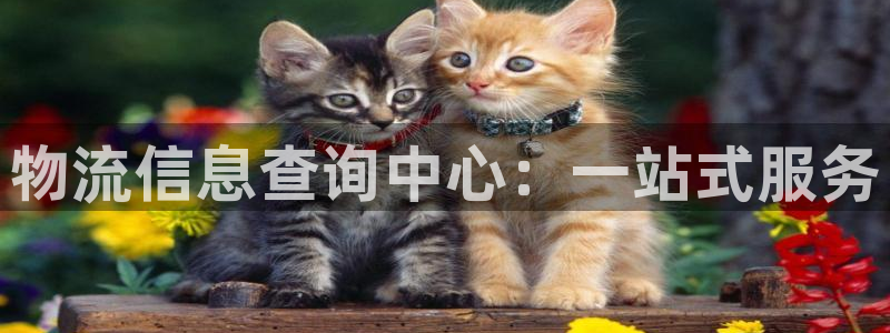 狗子28麻将胡了爆分视频：物流信息查