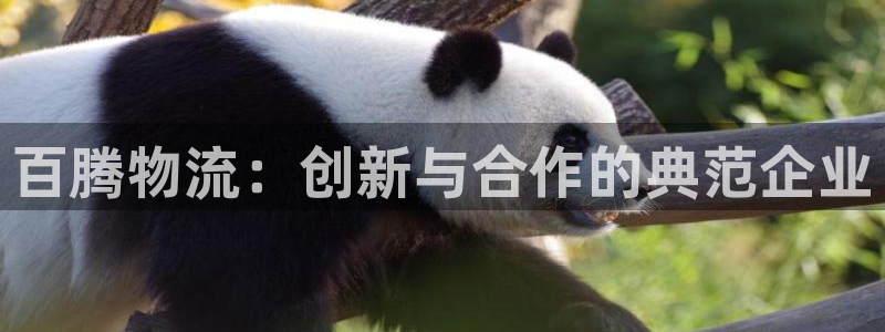 狗子28加拿大下载：百腾物流：创新与