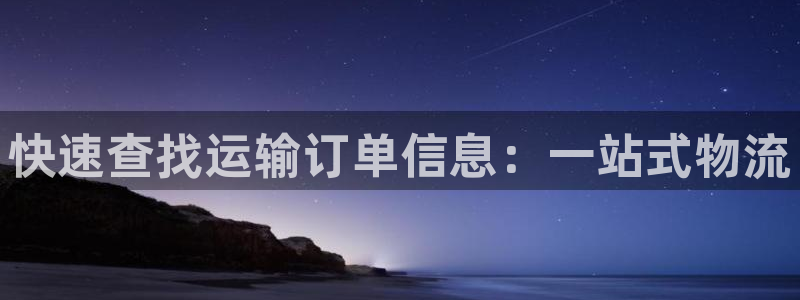 狗子28：快速查找运输订单信息：一站式物流