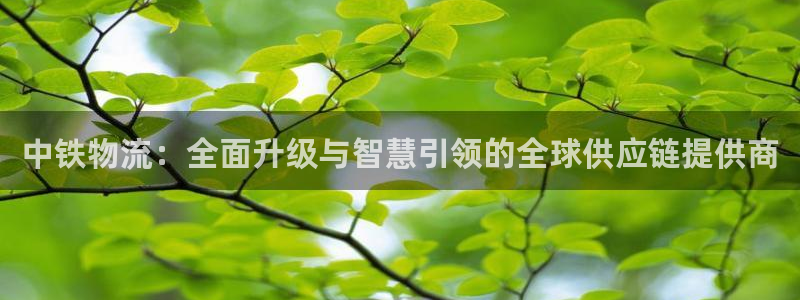 狗子28官网入口pc预测：中铁物流：