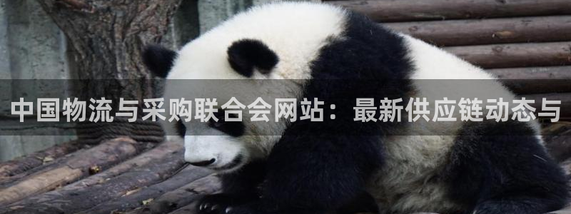 狗子28官网入口2024：中国物流与