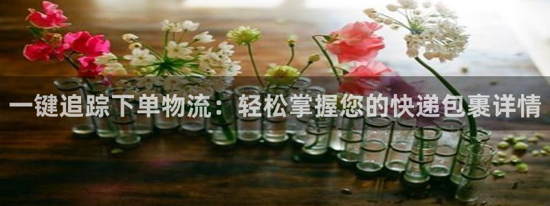狗子28注册平台：一键追踪下单物流：