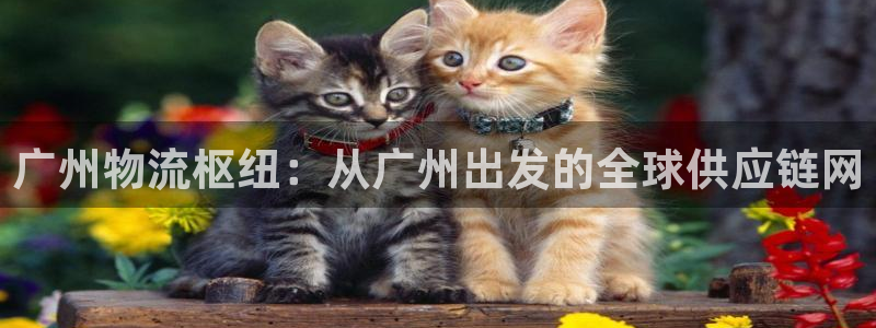 狗子28pg麻将胡了2老是空转：广州物流枢纽：从广州出发的全